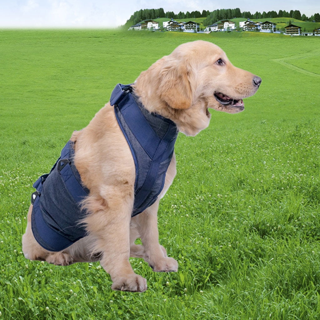 Lifting Dog Harness for Small Medium Large Dogs No Pull Assist Harness Adjustable Assist Training Supplies