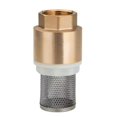 thumbnail image 2 of 1 inch Non-Return Valve Suction Strainer Foot Valve Hose Connection Dn15 Dn20 Dn25 Suitable for Agricultural Irrigation (Dn32), 2 of 7