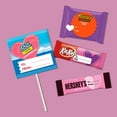 thumbnail image 2 of Hershey Assorted Flavored Snack Size Valentine's Candy, Bulk Bag 31.8 oz, 65 Pieces, 2 of 3