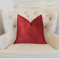 thumbnail image 2 of Plutus PBKR1964-2222-DP Sangria Rouge Cerise Luxe Jeter Oreiller&44; 22 x 22 Po., 2 of 3