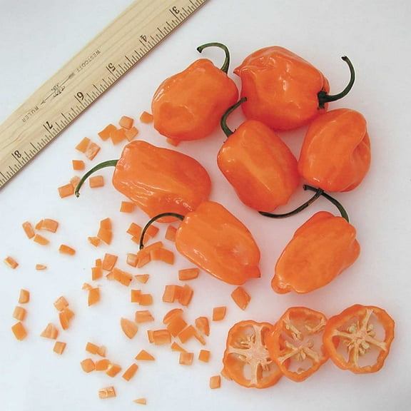 Orange Habanero Hot Pepper Garden Seeds - 1 Oz - Non-GMO, Heirloom Vegetable Gardening Seed