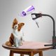 thumbnail image 3 of Soporte para secador de pelo para mascotas, soporte fijo, estante giratorio de 360 grados, accesorios de manos libres, 3 of 4