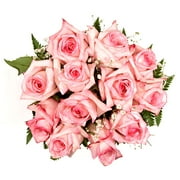 Beautiful Bi-Color Pink Roses