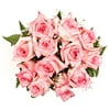 Beautiful Bi-Color Pink Roses