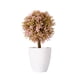 thumbnail image 1 of Planta artificial en maceta Plantas artificiales Bonsai Árbol de simulación Flores falsas decorativas de escritorio kenally JJ25587-06B, 1 of 6
