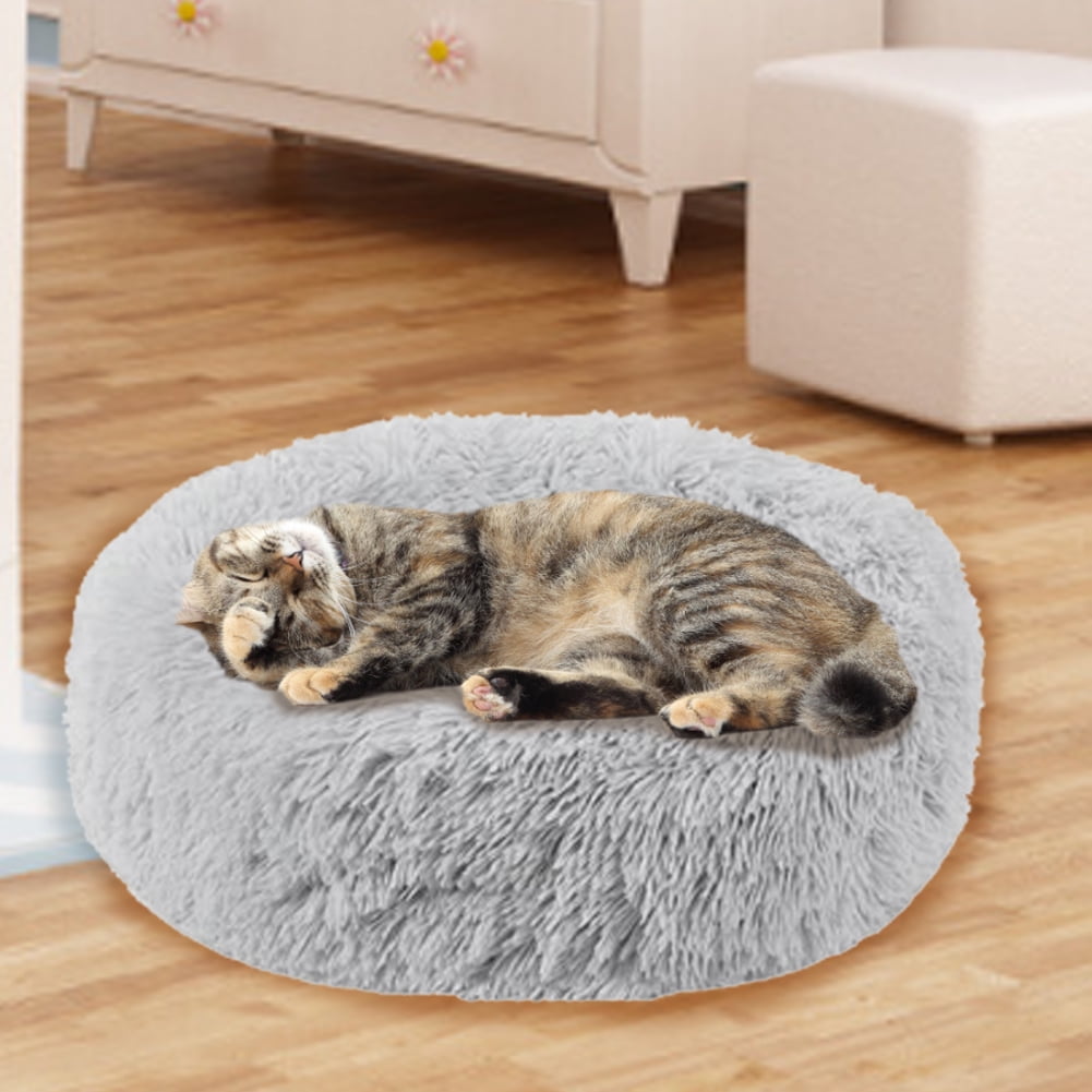 dog beds walmart canada