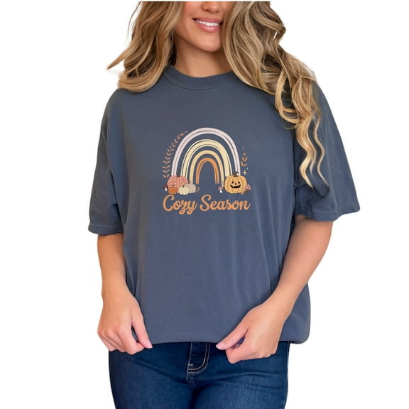 Cozy Season T-Shirt, Cute Autumn Shirt, Pumpkin Graphic Tee, Fall Aesthetic Top, Halloween Rainbow Shirt, Seasonal Comfort Tee, Denim Comfort Colors T-Shirt, Small
