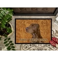 thumbnail image 3 of Carolines Treasures SS4879JMAT 24 X 36 In. Field Spaniel Wipe Your Paws Indoor Or Outdoor Mat, 3 of 4