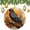 pattern-3, variant on Christmas Ceramic Ornament Orange And Black Crow Halloween Double-Sided Printed 3" Ceramic Christmas Ornament Vintage Crow Black for Boys Girls Round Ceramic Christmas Decoration