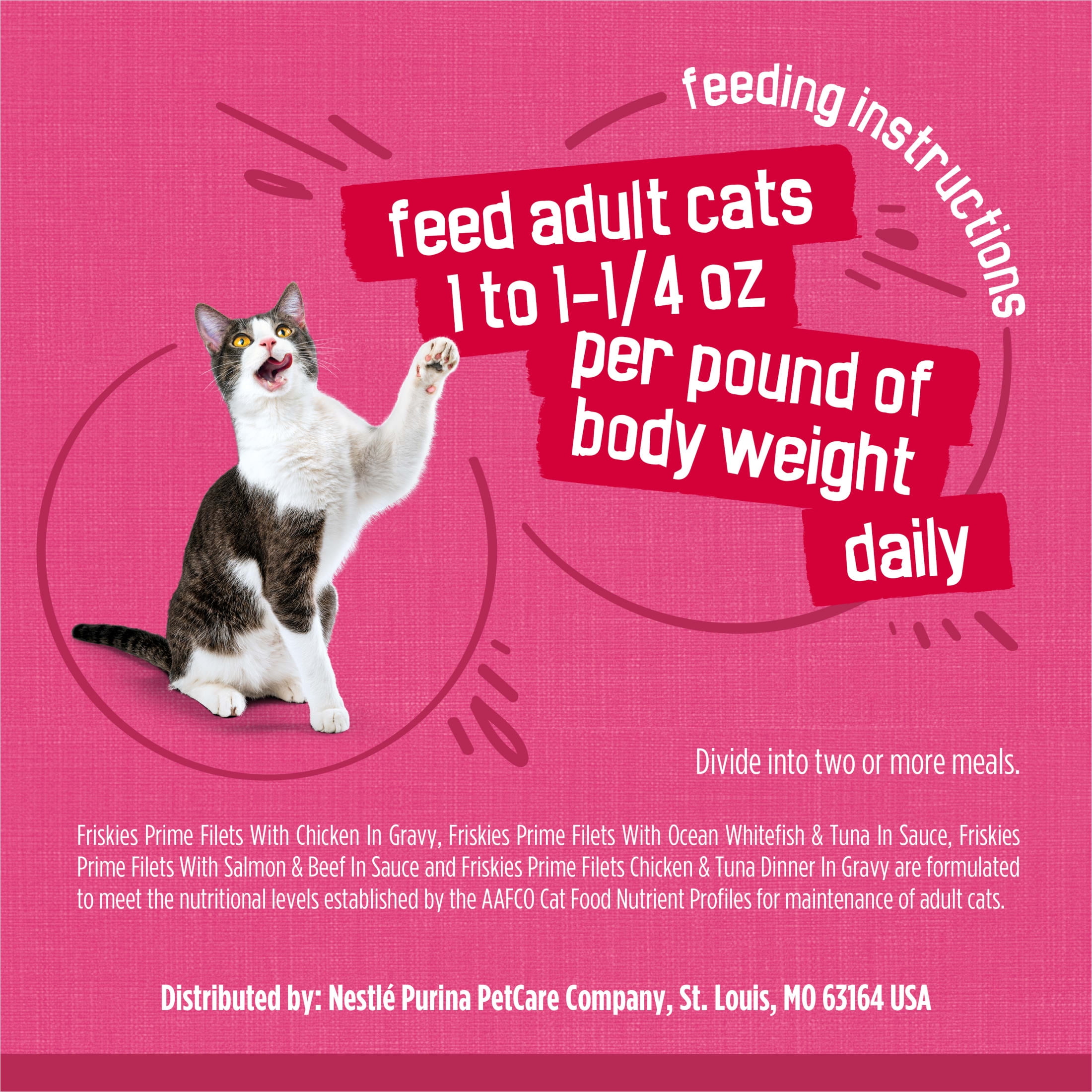 Purina Friskies Surfin' and Turfin' Wet Cat Food Variety