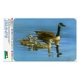 thumbnail image 1 of Canada Canadian Geese Family Home Business Office Sign, 1 of 7