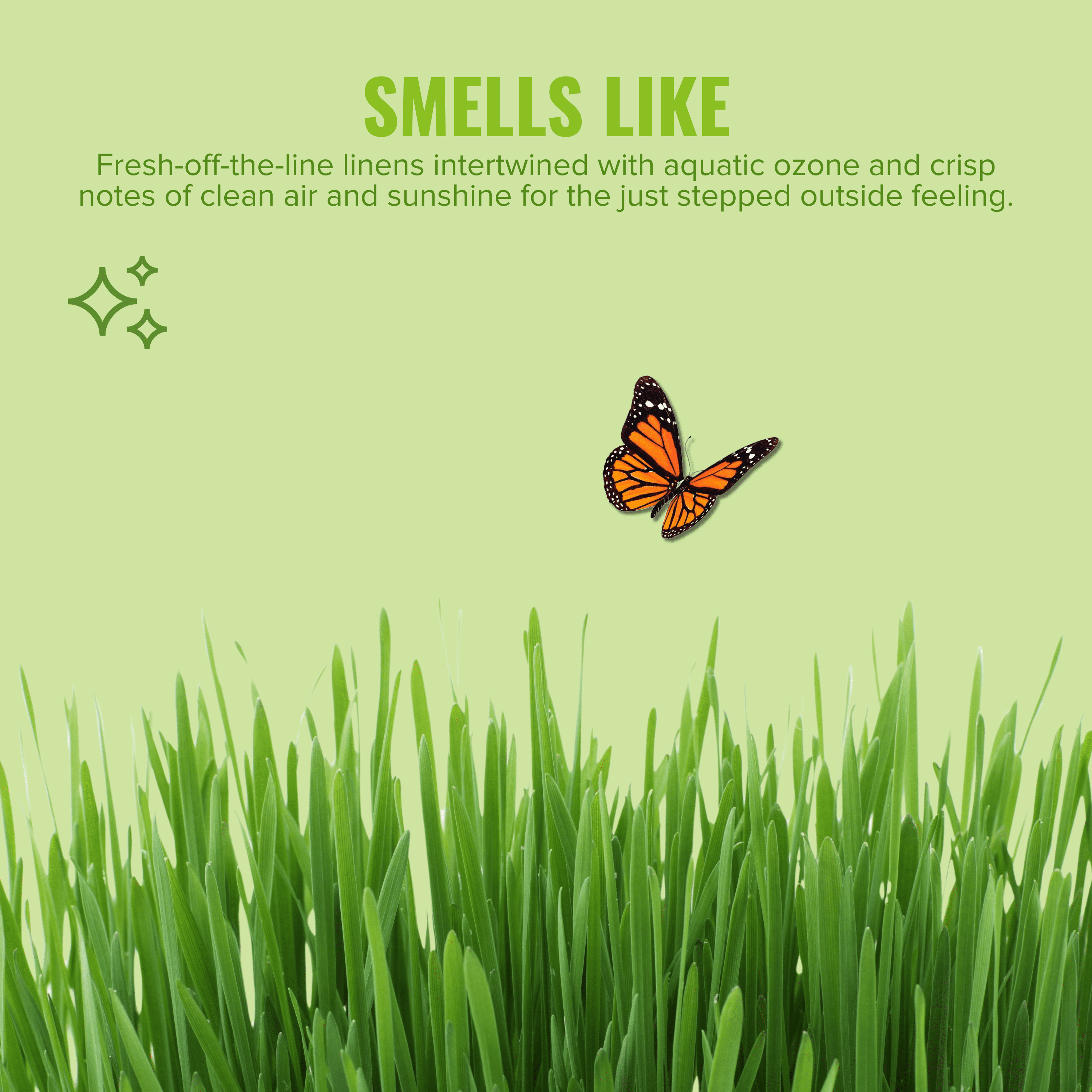 Citrus Magic For Closets Odor Absorbing Solid Air Freshener, Outdoor Fresh, 8-Ounce, Pack of 3