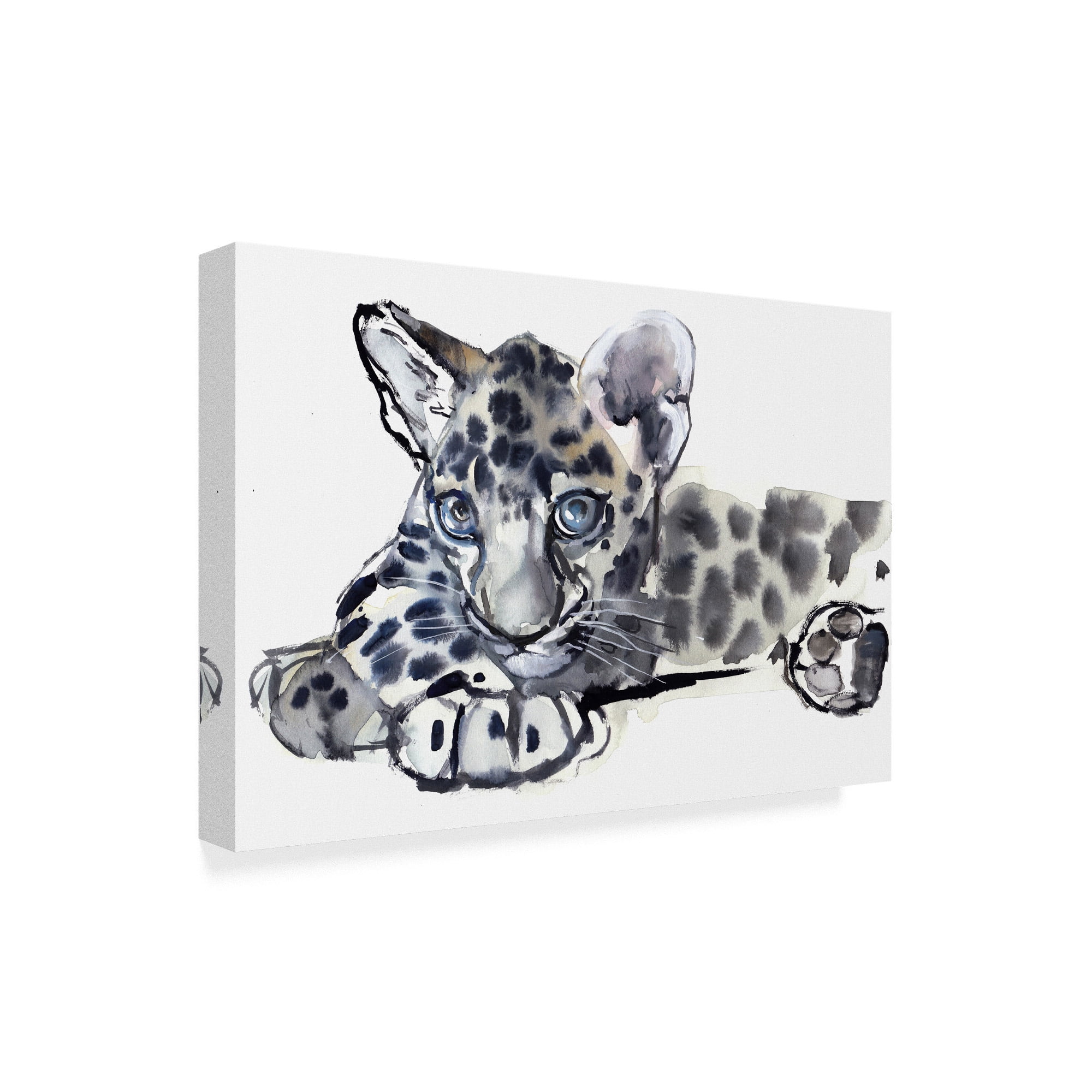 Trademark Fine Art 'Spotty Arabian Leopard Cub' Canvas Art by Mark Adlington