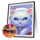 thumbnail image 1 of Taladro Diamante Pintura (DE2499) Gato 5D DIY Kits de bordado completo Punto de cruz (B) 50x70cm Hugtrwg Para estrenar, 1 of 1