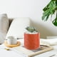 thumbnail image 5 of Jarrón de flores de plástico imitación acabado vidriado | Acento decorativo para el hogar para el gabinete de la sala de estar | Maceta moderna de arreglo de flores secas | Naranja Marino Blanco, 5 of 6