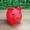 Red, variant on 1 Pack Plastic Cute Pig Money Bank,Unbreakable Piggy Saving Money Box Coin Bank for Boys Girls Kids Adults Home Decoration(Blue)