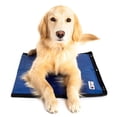 thumbnail image 1 of Alfombrilla hidroenfriadora CoolerDog CoolerDog para perros pequeños y medianos, 1 of 5