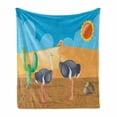 thumbnail image 1 of Ostrich Soft Flannel Fleece Throw Blanket, Wild Birds on Desert with Cactus in a Sunny Day Childish Kids Zoo Camel Cartoon, Cozy Plush for Indoor and Outdoor Use, 60" x 80", Multicolor, by Ambesonne, 1 of 6