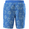 thumbnail image 2 of Wonder Nation Little and Big Boys Quick Dry Swim Trunks with UPF50+, Sizes 4-18 & Husky, 2 of 3