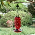 thumbnail image 6 of Glass Hummingbird Feeder with 5 Feeding Ports | Wide Mouth for Easy Filling & Cleaning | Outdoor Hanging Bird Feeder for Garden & Backyard Decor, 6 of 6