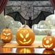 thumbnail image 5 of Mom's Best Red anti-murciélagos y arañas, ideal para Halloween, ideal para ventanas, puertas y pantallas de lámparas en salas de estar y cocinas., 5 of 9