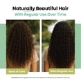 thumbnail image 6 of BeepWell Batana Oil from Honduras (4.2 fl oz) – Unrefined Hair Oil for Shine, Softness & Scalp Moisture – Lightweight & Versatile for All Hair Types, 6 of 9