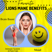 BioImmune Organic Lions Mane Supplement 120 Capsules w/Patent Litropane™ Nootropic Brain Support Mushroom
