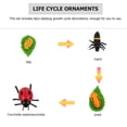 thumbnail image 2 of 4 figuras de insectos con el ciclo de vida de la mariquita, adornos, divertido juguete para niños, 2 of 7