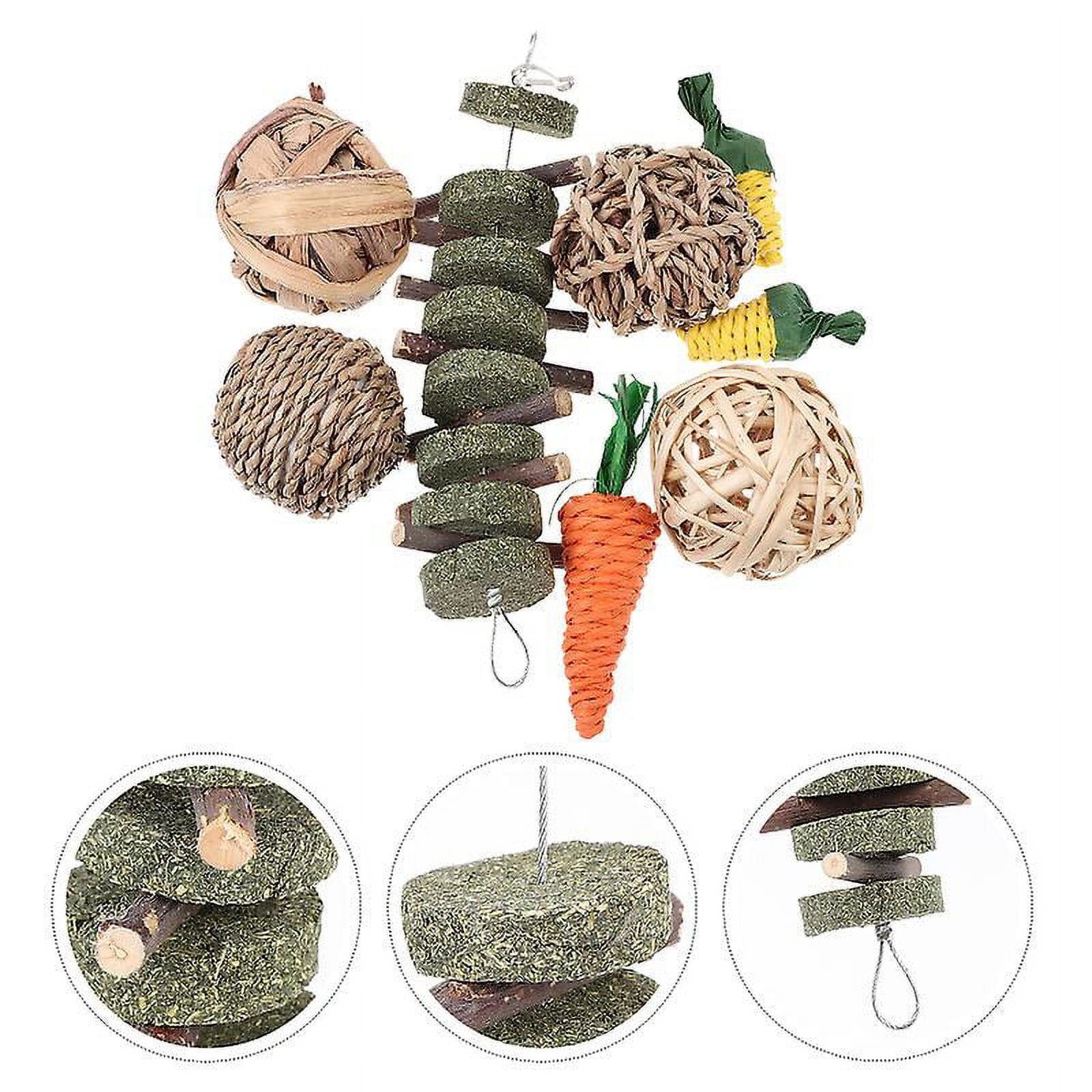 1set Rabbit Molar Toys