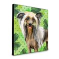 thumbnail image 1 of Panel decoración de Pared Caroline's Treasures BB9833UP88 Chinese Crested St Patrick's multicolor, 1 of 1