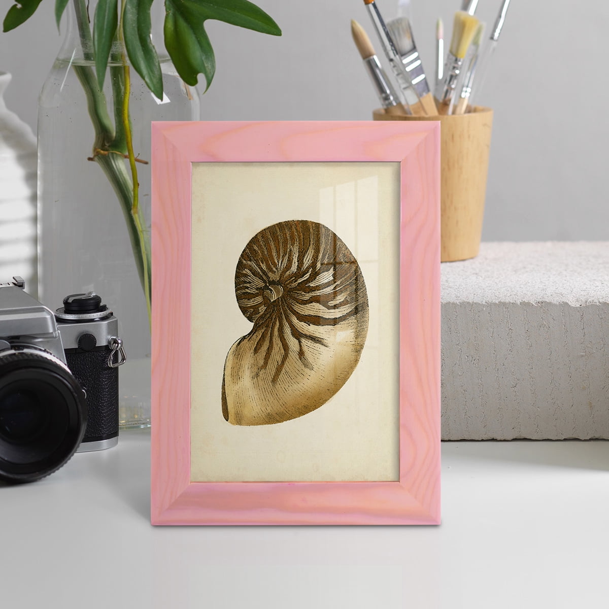 Sealife Collection V - Framed Print w/glass - Sunset Pink