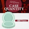 thumbnail image 5 of Smarty Had A Party Elegant Disposable Plastic Dinnerware, 10" Turquoise Dinner Plates for Parties and Events, Heavy Duty Plates for All Occasions (120 Count), 5 of 14