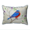 thumbnail image 2 of Betsy Drake HJ1050 16 x 20 in. Dicks Blue Bird Large Indoor & Outdoor Pillow, 2 of 2