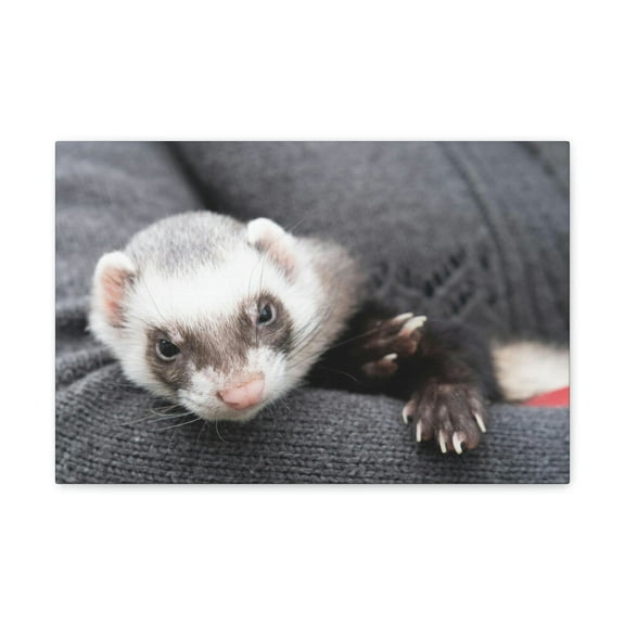 Funny Weasel Silly Weasel Scene Inside Wall Art Ready to Hang Unframed