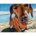 thumbnail image 2 of Wronski, Kathryn 14x12 White Modern Wood Framed Museum Art Print Titled - Sand Dog, 2 of 4