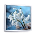 thumbnail image 2 of Designart "Frost-Kissed Snowdrop Image I" Snowdrops Floater Framed Wall Decor, 2 of 5