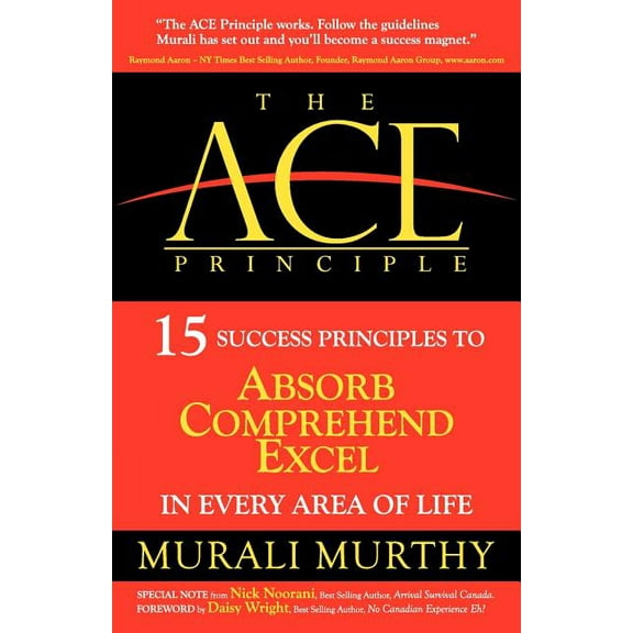 The ACE Principle (Paperback)