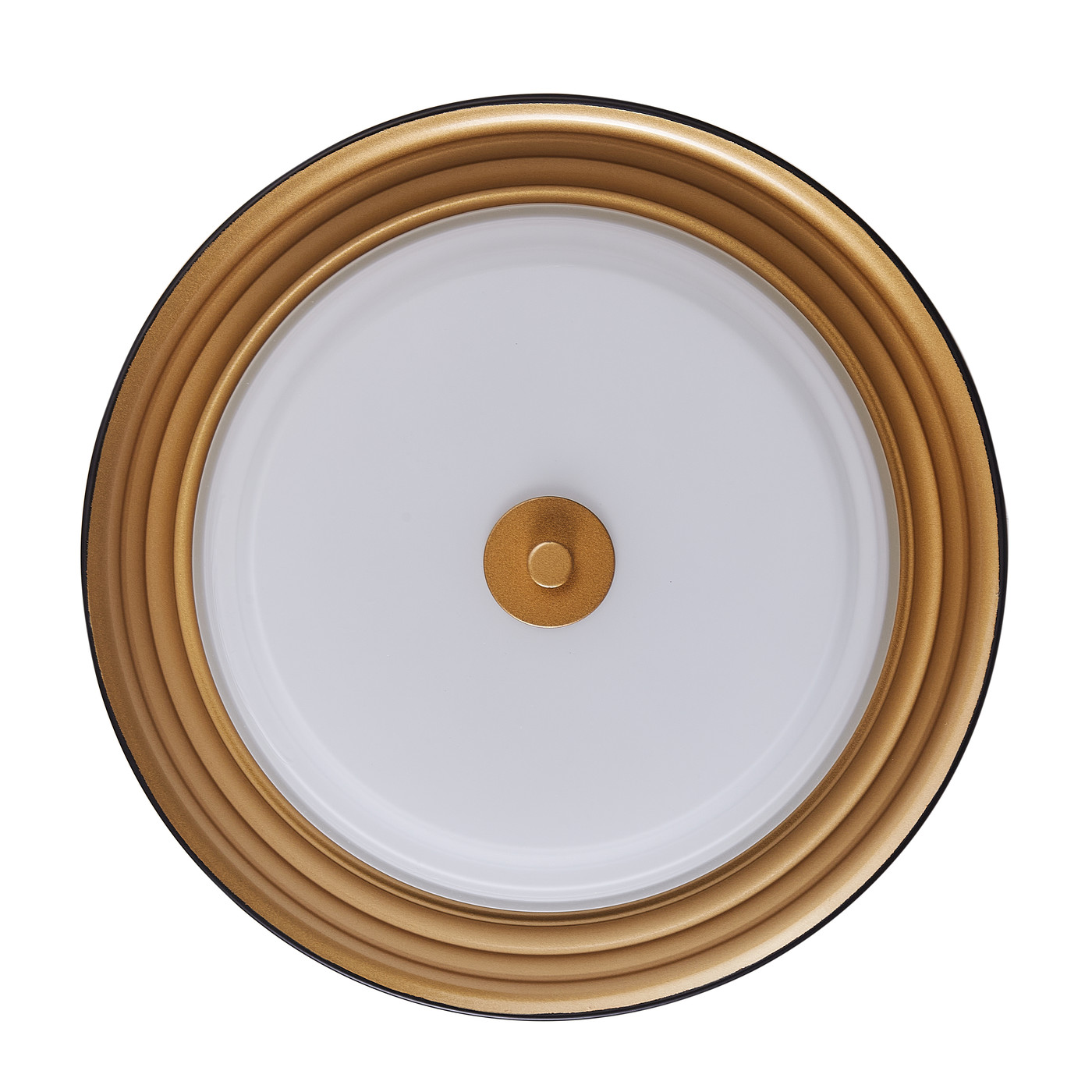 Aiwen 2 Light Modern Round Shade Flush Mount Ceiling Lamp Home Decor Light Fixture