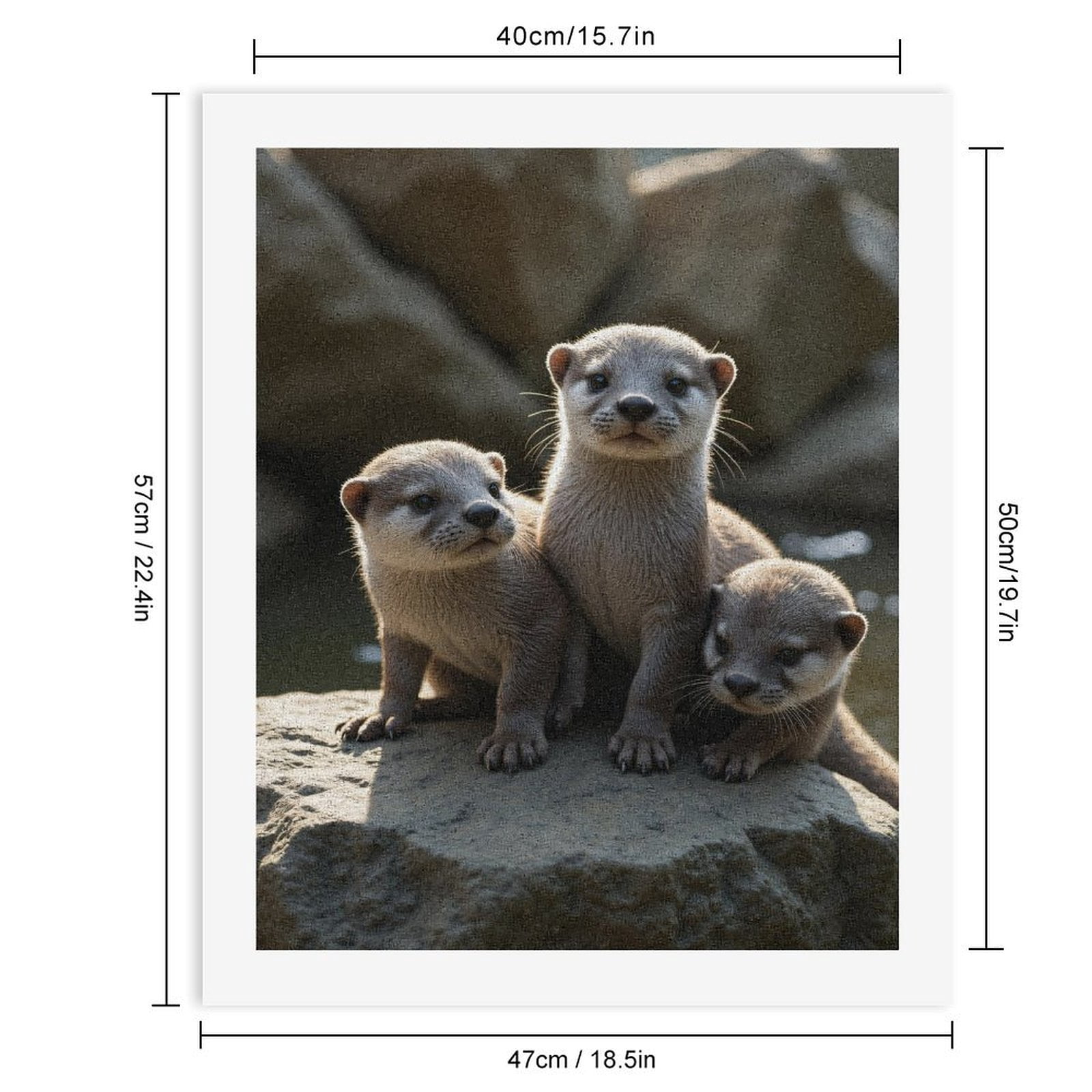 Paint by Numbers Kit for Adults, Playful Otter Trio On Rocks Paint by Numbers, Easy Paint by Numbers Kit for Adults Beginner, DIY Adult Paint by Number Kits on Canvas, 12x16in Home Decor