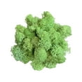 thumbnail image 2 of JeashCHAT Artificial Green Plant Immortal Fake Flower Moss Grass For Home Living Room Decorative Wall DIY Flower Mini Colorful Accessories, 2 of 2