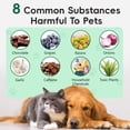 thumbnail image 6 of Worafy Activated Charcoal for Dogs & Cats, Daily Digestive Support, Helps Maintain Normal Stool & Gut Balance 4.23oz/120g, 6 of 11