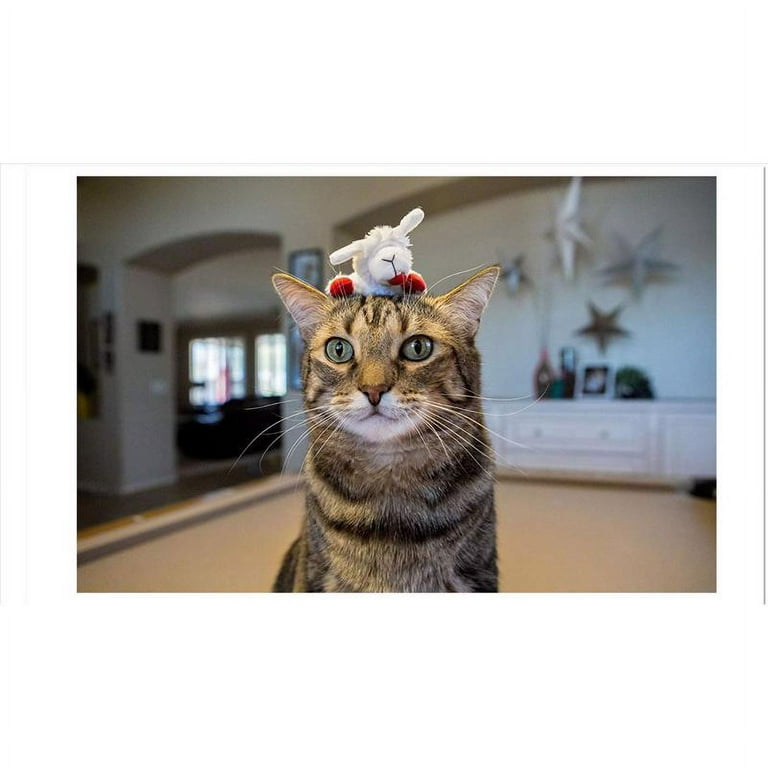 Multipet Lamb Chop Cat Toy with Catnip - Walmart.com