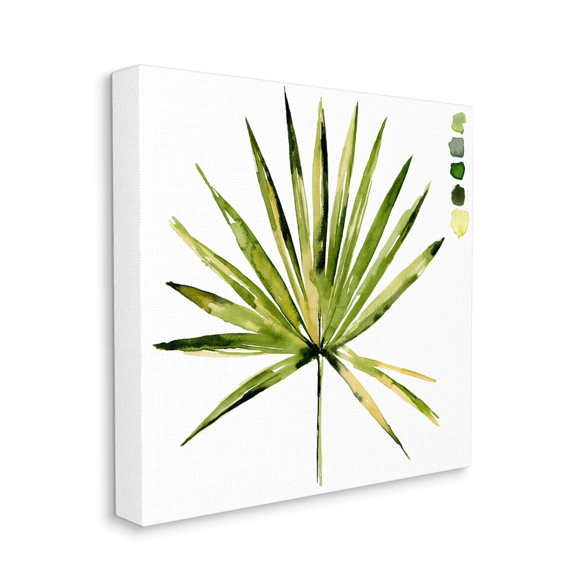 Stupell Industries Fan Palm Foliage Tropical Plant Green Palate Painting,36 x 36, Design by Jennifer Paxton Parker