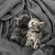 thumbnail image 4 of Blanket Utopia Bedding, forro polar, tamaño queen, color gris, 300 g/m², microfibra, 4 of 8