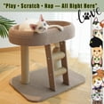 thumbnail image 6 of Cat Tree Runway Circle Design, All-in-One Sisal Scratching Post Ladder & Cat Condo, Durable Scratch-Resistant Cat Furniture for Indoor Cats, 6 of 6
