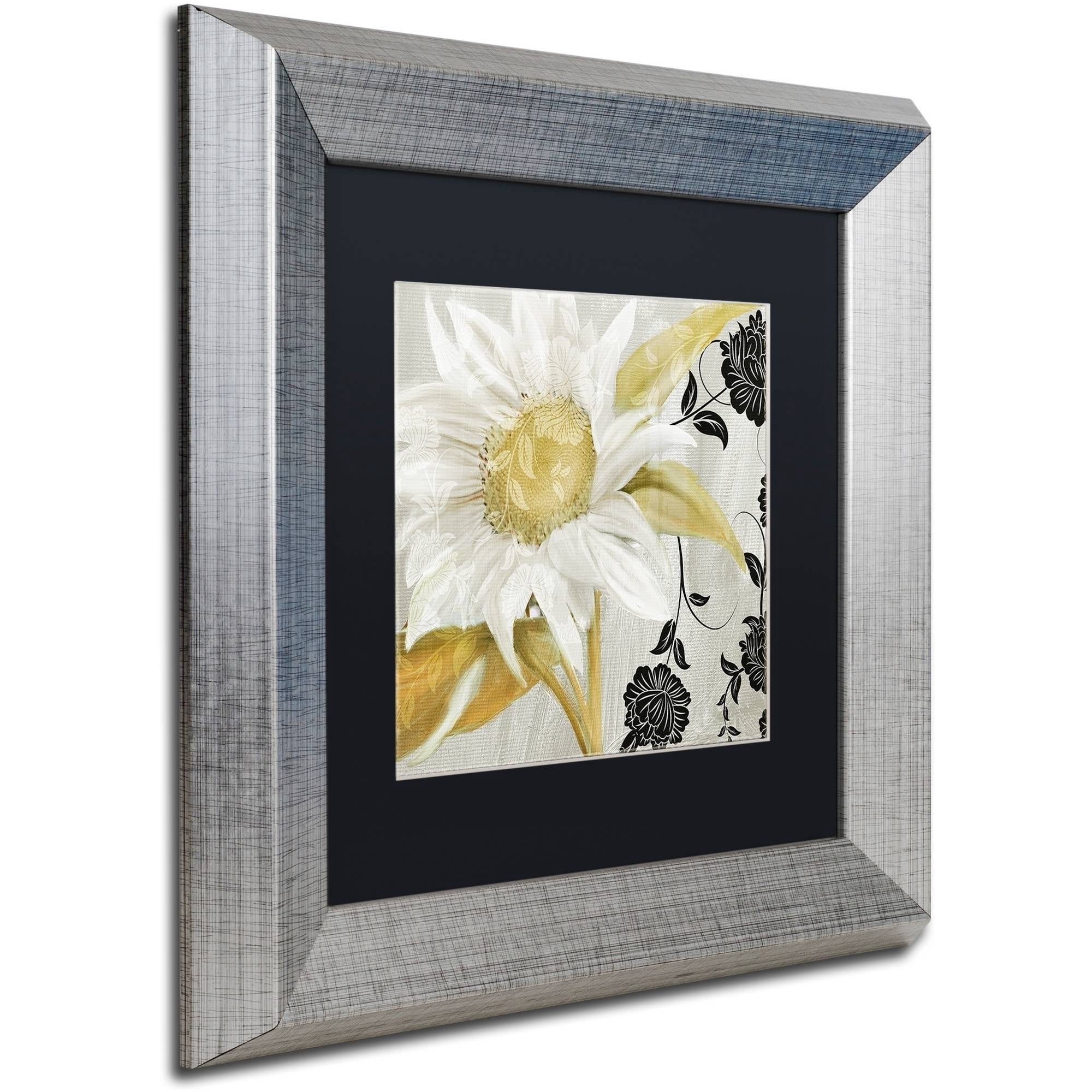 Trademark Fine Art "Sunroom I" Canvas Art by Color Bakery Black Matte, Silver Frame