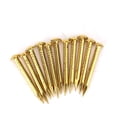 thumbnail image 3 of 100 piezas de accesorios de hardware para bisagras de muebles de latón con clavos de Cabeza redonda, funciones de suJeción Fuerte, perfecto para bisagras de muuebles para el, 3 of 7
