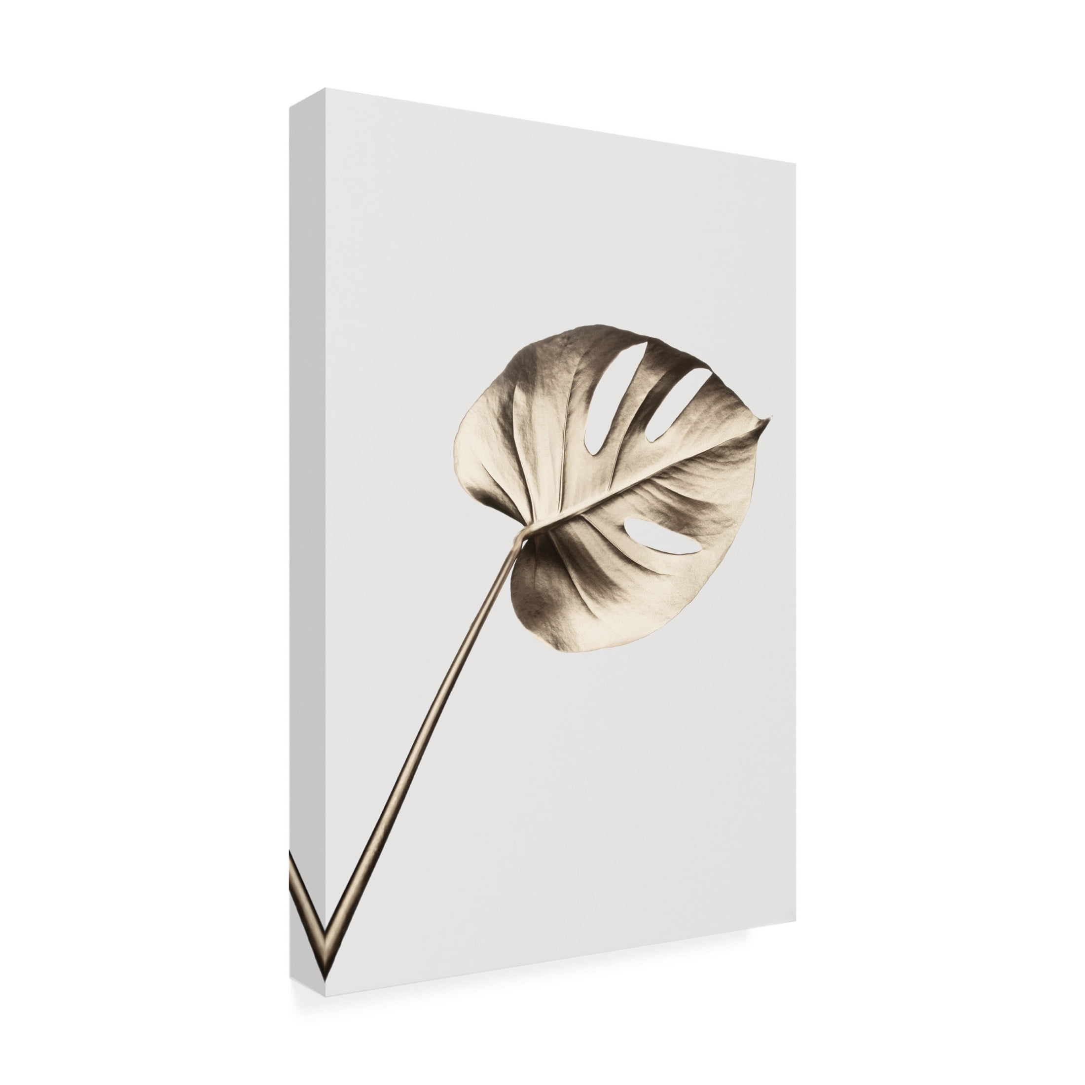 Canvas Wall Art - Pictufy Studio Iii 'Monstera Gold 07' Wall Art for Living Room, Bedroom, or Office D?cor by Trademark Fine Art - 16 x 24 Inches