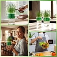 thumbnail image 6 of 2 Pack Green Onion Regrower Planter, Soilless Scallion Sprouting Box for Kitchen Counter, Micro Greens Growing Kit for Indoor Gardening, 9-Hole Design, 6 of 9
