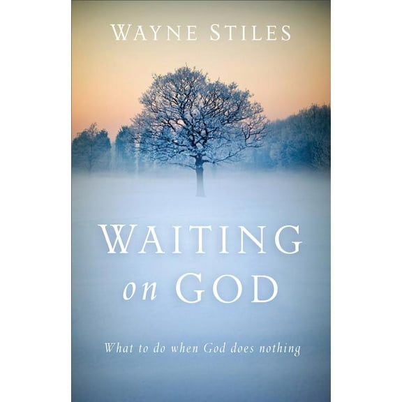 Waiting on God: What to Do When God Does Nothing, (Paperback)